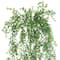 Green Boxwood Bush by Ashland®